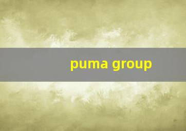 puma group